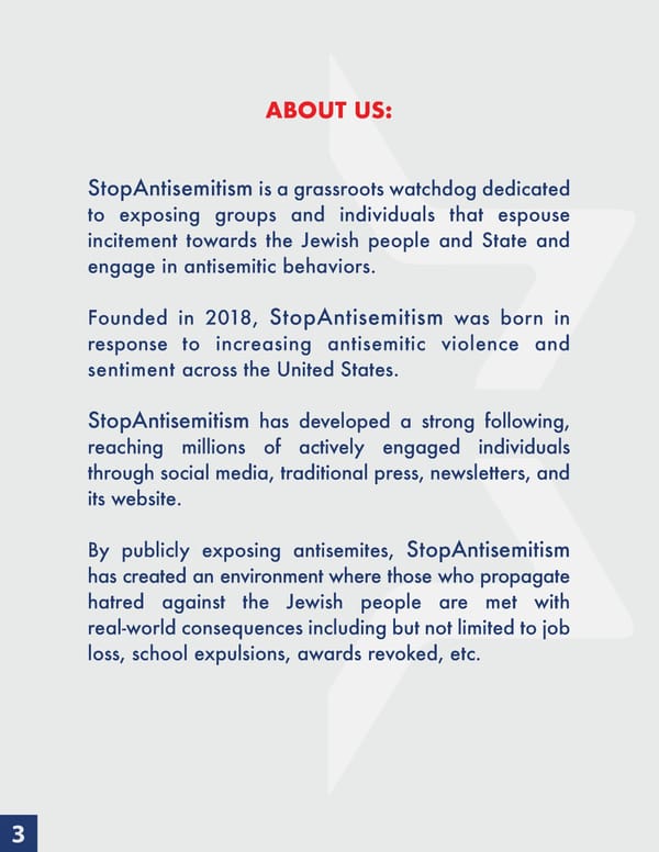 Stop AntiSemitism | 2022 Annual Report - Page 3